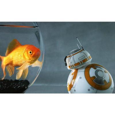   Sphero    BB-8 (,  1)