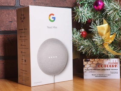   Google Nest Mini Chalk (,  1)