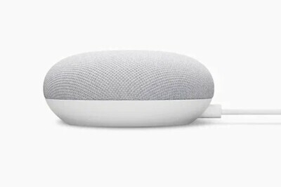   Google Nest Mini Chalk (,  4)