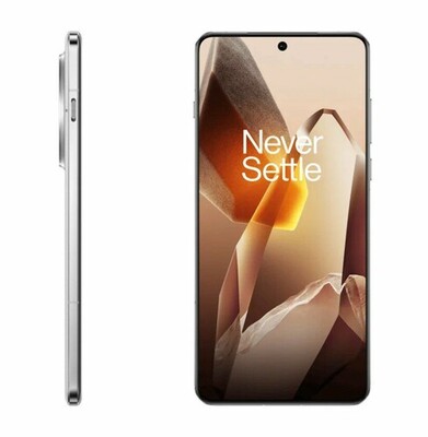  OnePlus 13 16/512Gb (CPH2653) Global  (,  1)
