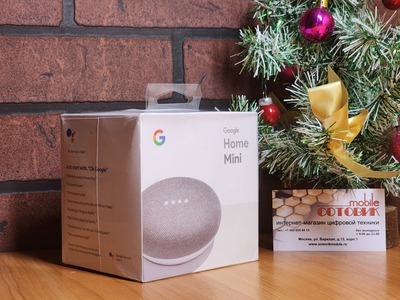   Google Home Mini Chalk (,  2)