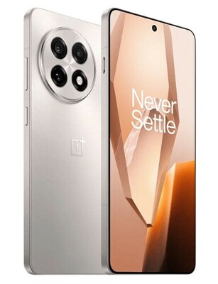  OnePlus 13R 12/256Gb Global  (,  1)