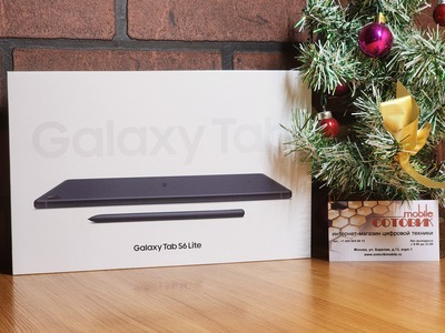  Samsung Galaxy Tab S6 Lite (2024) 4/128GB WiFi,   ׸ (,  1)