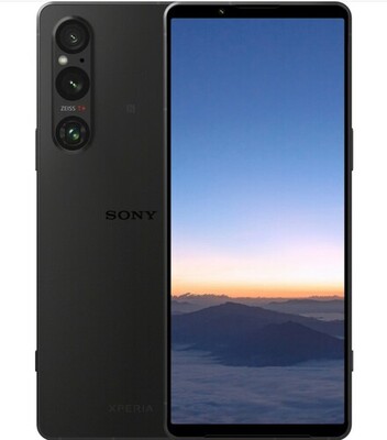  Sony Xperia 1 V 12/256Gb  ()